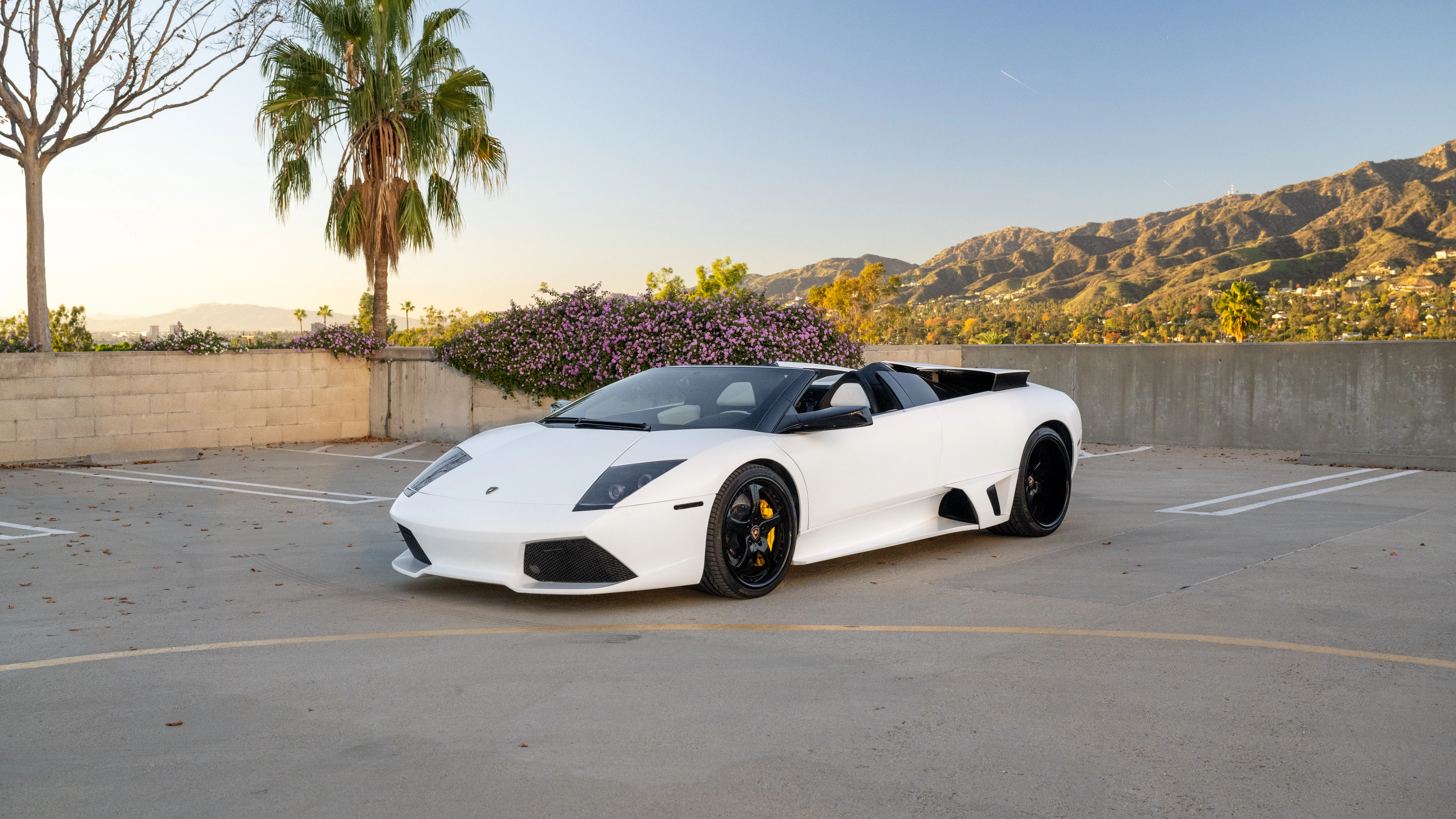 2008 Lamborghini Murcielago LP640 Roadster for sale | Sotheby's