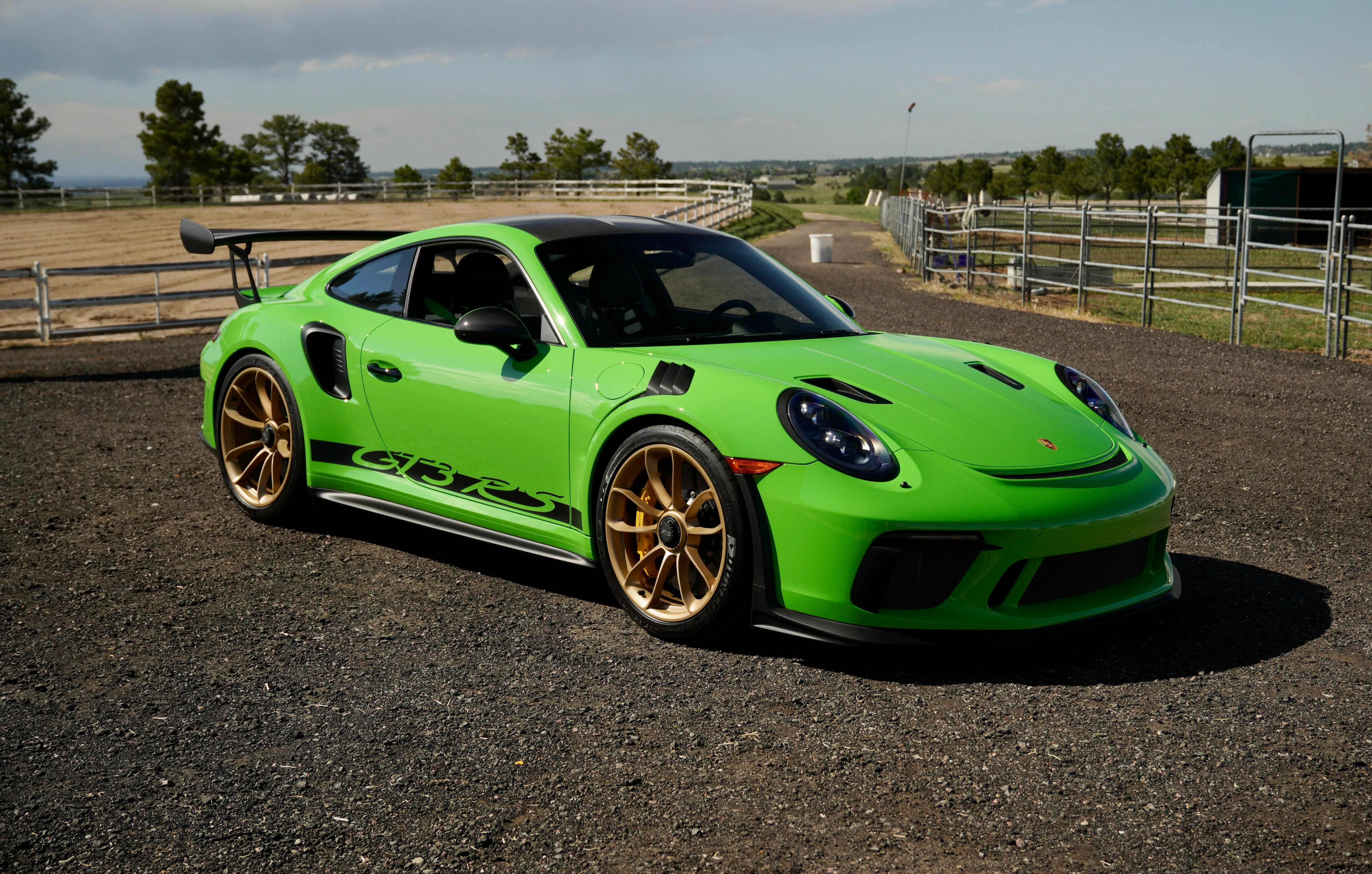 2019 Porsche 911 GT3 RS (991) — market value and price history